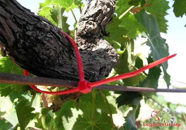 Plastic Cable Ties application