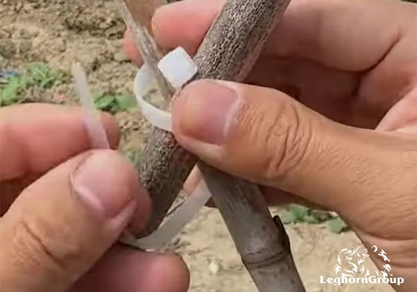 Wiring Ties application